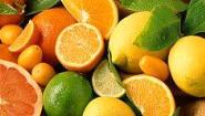 Najznamejsie druhy citrusov